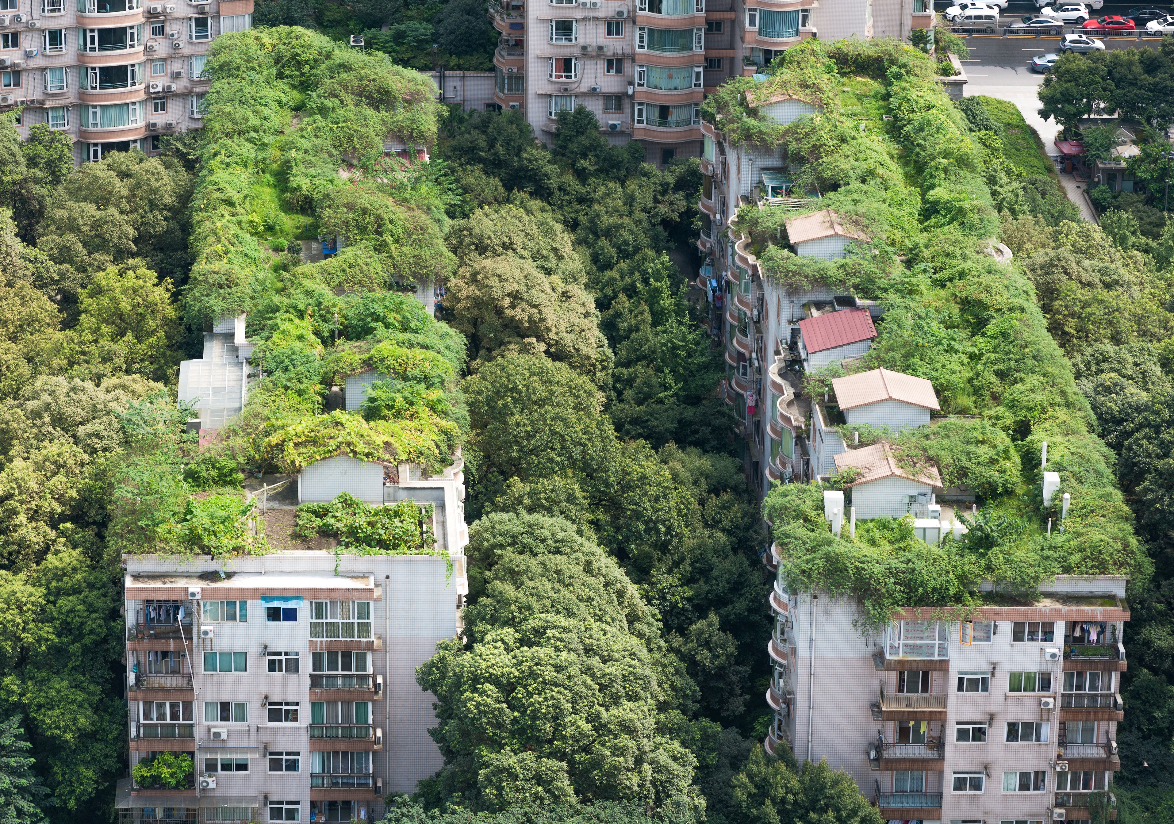 aerial photo of Chengdu in China. Green foliage on top and between buildings.