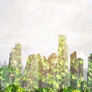 Urban forest graphic