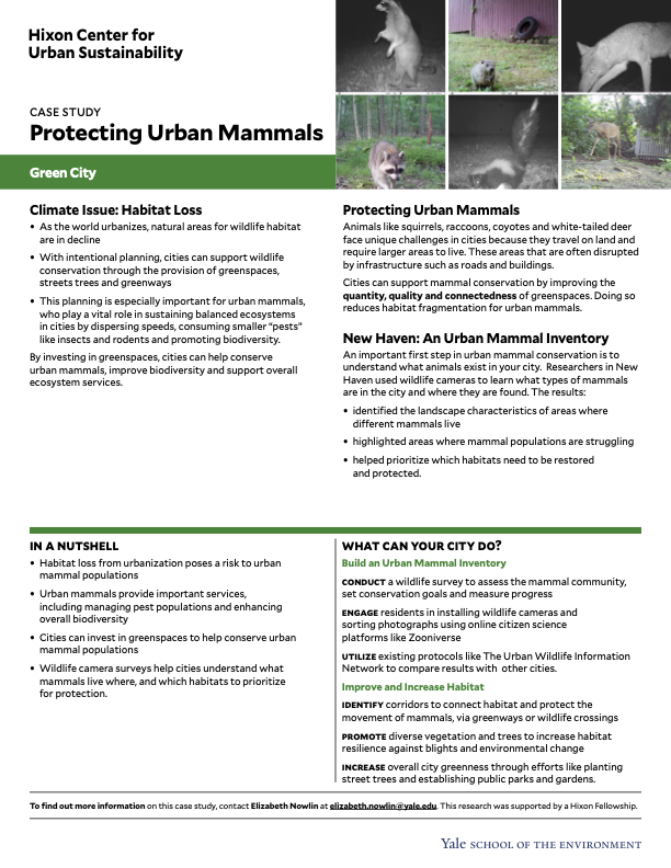 Case study one pagers on protecting urban mammal habitats