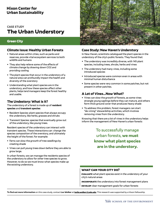 Case study one-pager of the urban understory