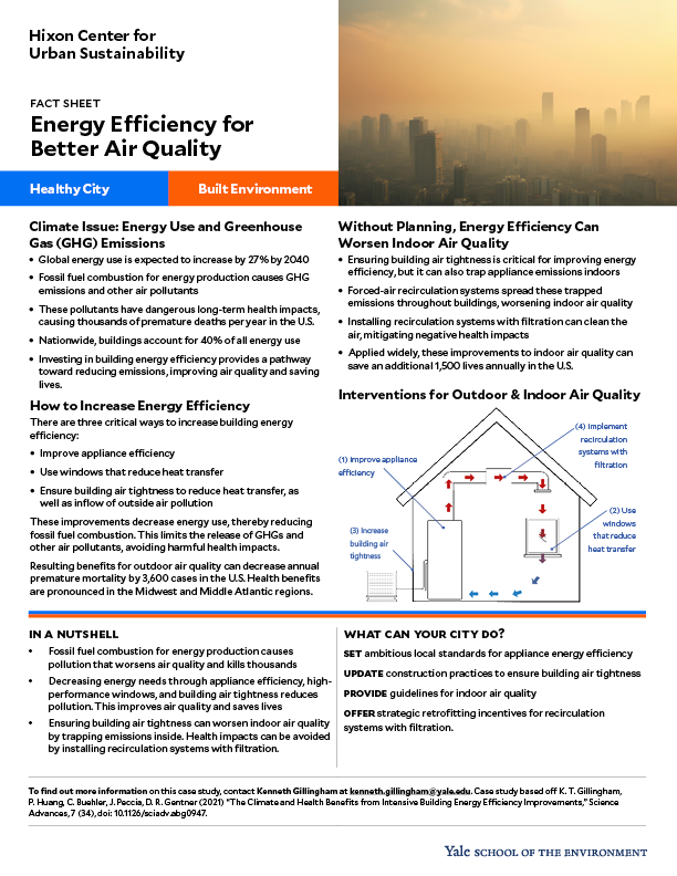 Fact sheet on energy efficiency for better air quality