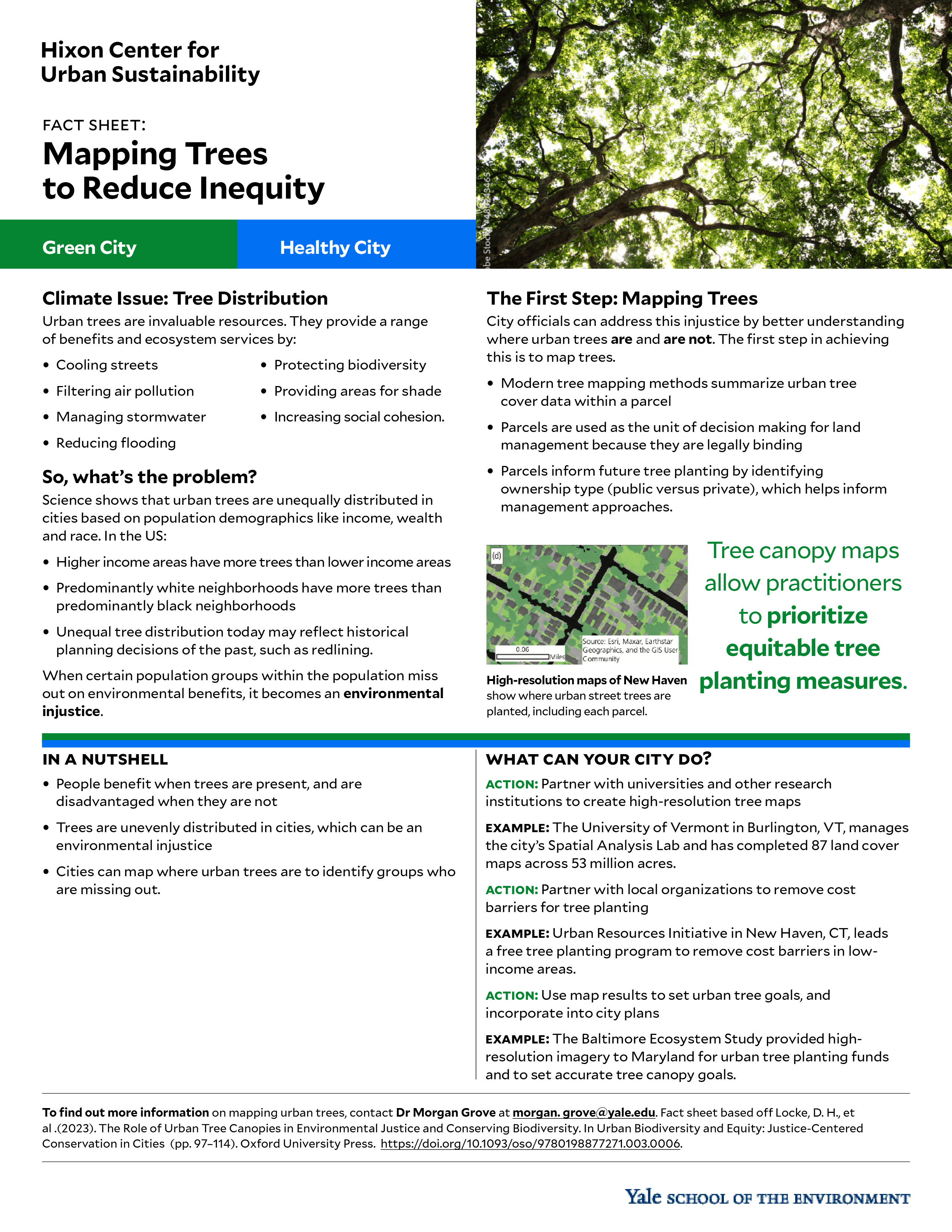 Fact sheet on mapping trees to reduce inequity