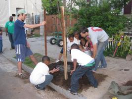 Planting a tree with Community Greenspace