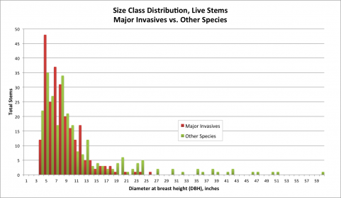 size class distribution, invasives