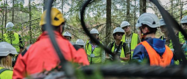 Foresters in European birch production forest