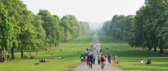 Park path filled with cyclists and pedestrians