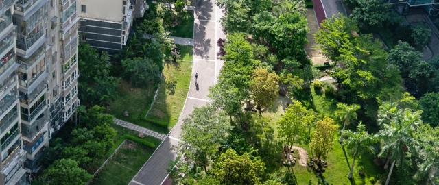 Aerial view of an urban green space surrounded by high-rise buildings