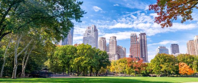 View of Central Park with a large field surrounded by trees and skyscrapers in the background