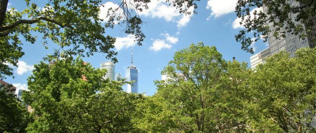 city park in foreground with skyscrapers in the background and blue skies