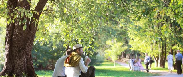 Person in white shirt and jeans sitting on sunny patch of grass under trees