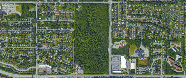 aerial view of city with large park and foliage throughout landscape