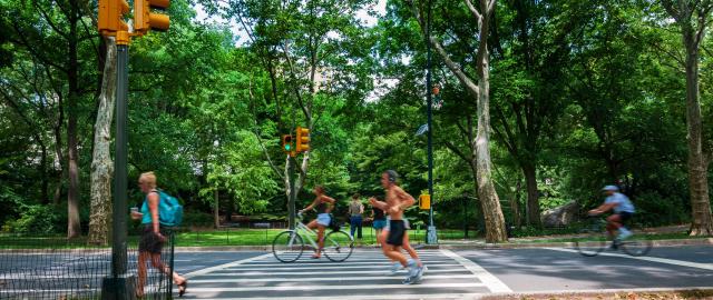 bikers and pedestrians along asphalt path in urban park