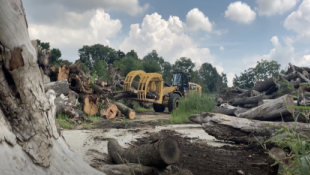 Industrial timber harvesting
