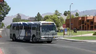 A bus on the road