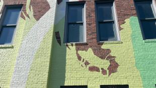 brightly colored mural with grasshopper on the side of a two-story building