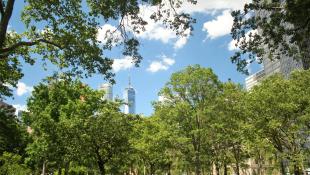 city park in foreground with skyscrapers in the background and blue skies