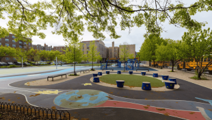 Green schoolyard in NYC with trees