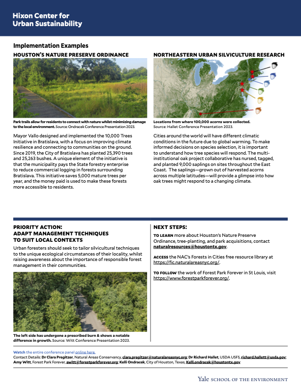 Conference summary for panel on protecting threatened natural forests in cities, page 2