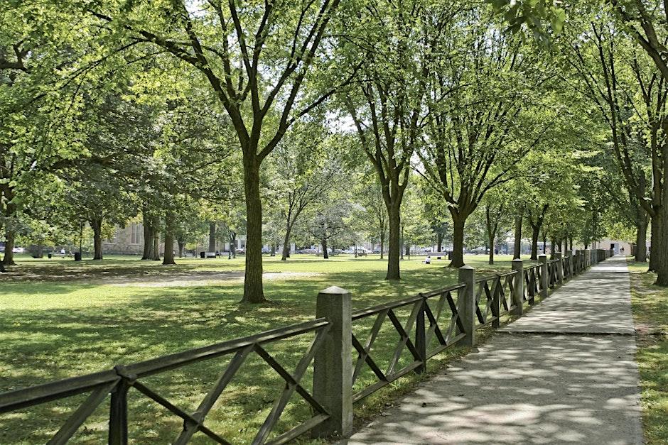 New Haven Green, with trees in the background and a black fence in the foreground