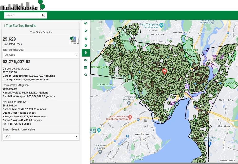 map of new haven trees and benefits