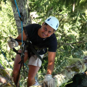 Vivek Shandas in helmet climbing a tree