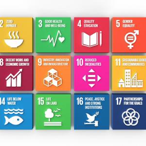 List of UN Sustainable Development Goals.
