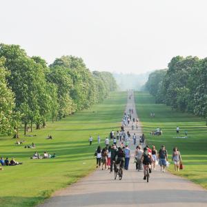 Park path filled with cyclists and pedestrians