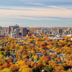 New Haven skyline with fall foliage