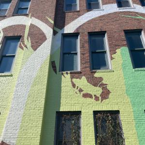 brightly colored mural with grasshopper on the side of a two-story building