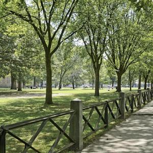 New Haven Green, with trees in the background and a black fence in the foreground