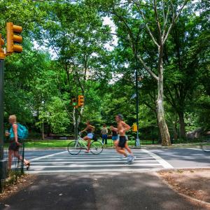 bikers and pedestrians along asphalt path in urban park