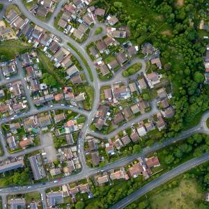 overhead view of neighborhood with tree cover