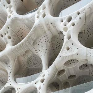 giant porous white structure